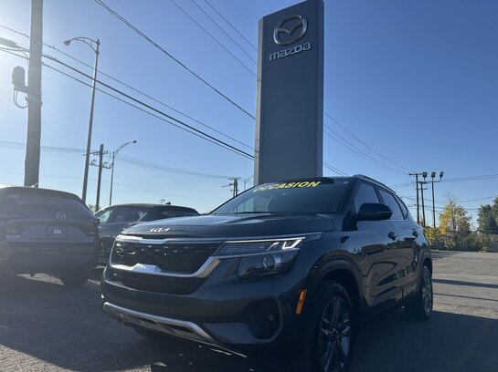 2023 Kia Seltos EX AWD AUTO CUIR TOIT CAM DE RECUL Grey 2023 Kia Seltos EX AWD AUTO CUIR TOIT CAM DE RECUL Grey